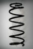 SPIDAN 55927 Coil Spring